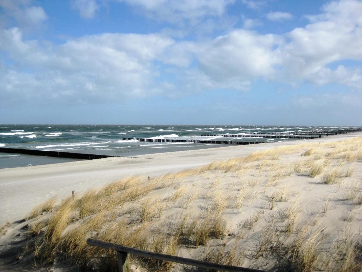 Residenz Am Strand Wohnung 1-17 Zingst Eksteriør billede