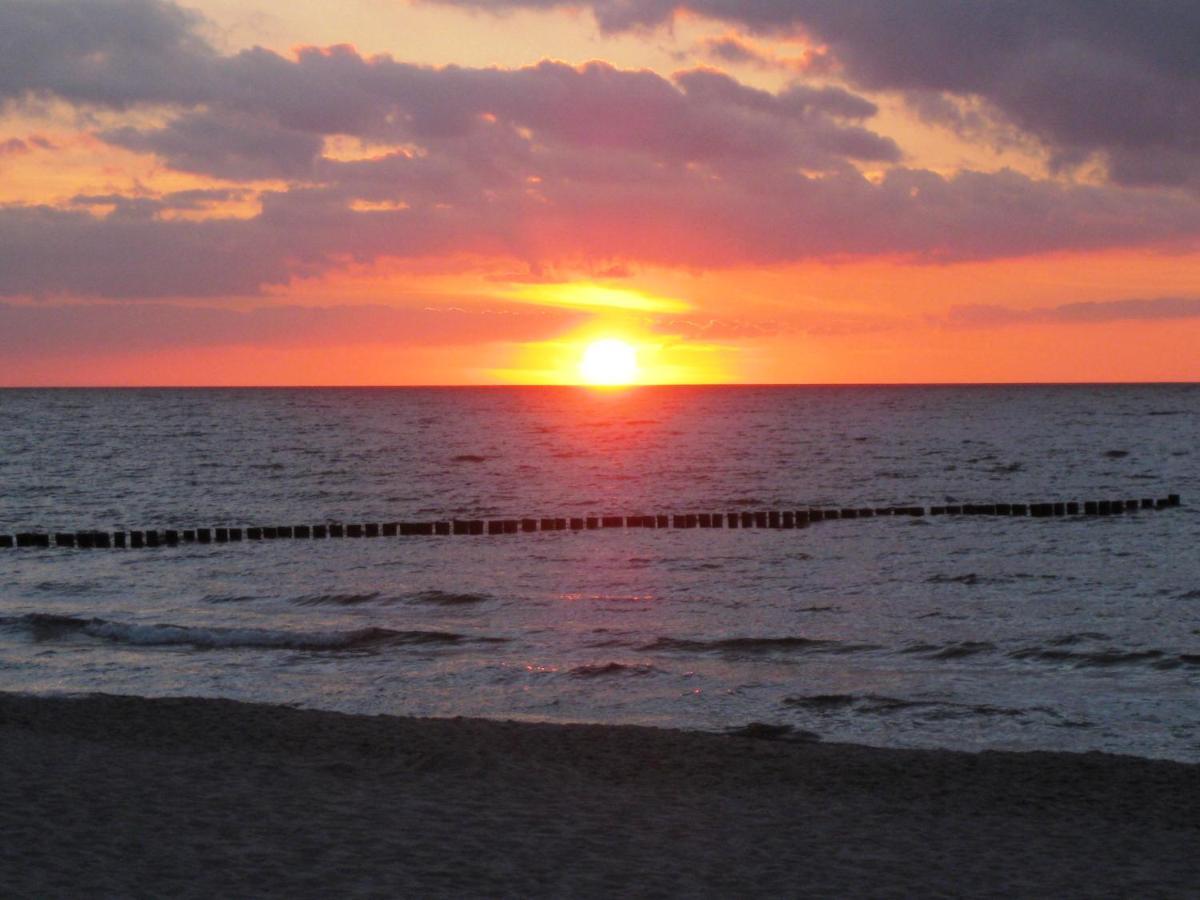 Residenz Am Strand Wohnung 1-17 Zingst Eksteriør billede